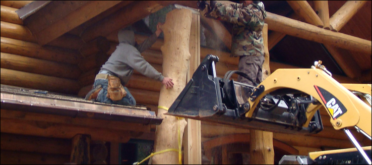 Log Home Log Replacement  Clarke County, Virginia
