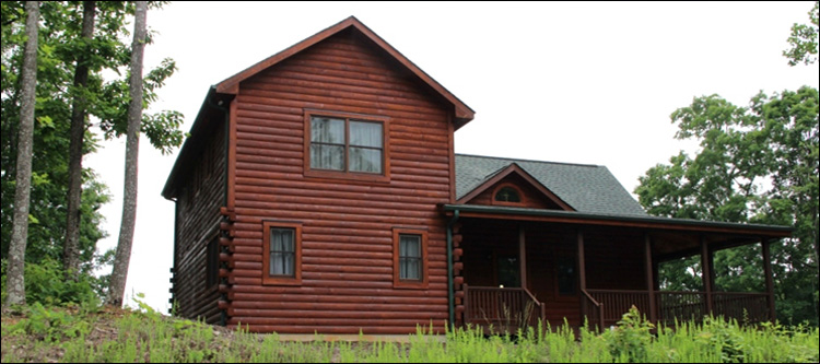 Professional Log Home Borate Application  Bluemont, Virginia