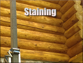  Clarke County, Virginia Log Home Staining